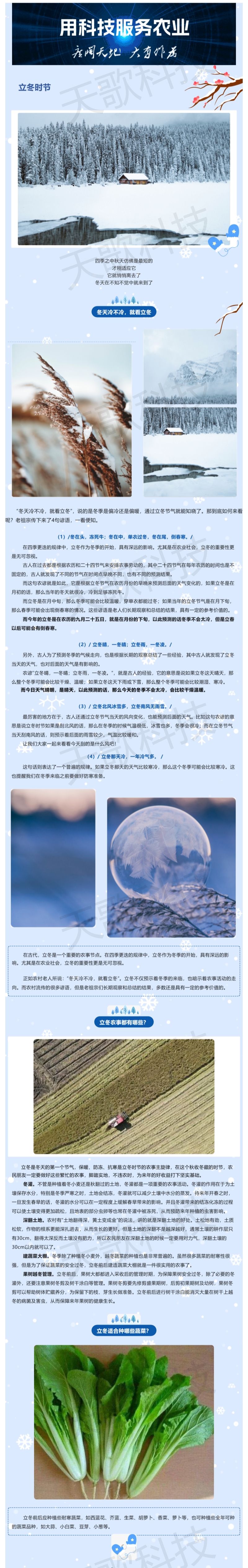 今日立冬_老人說“冬天冷不冷，就看立冬”，那今年冬季到底冷不冷？.jpg