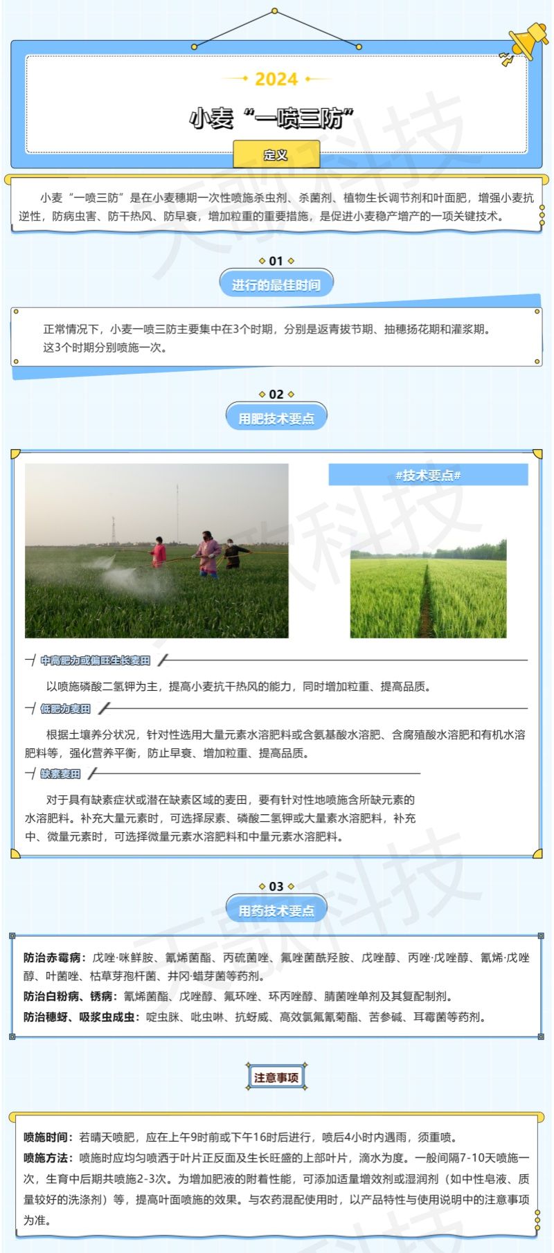 農(nóng)技分享_什么是小麥“一噴三防”？技術(shù)要點都有哪些？-加水印.jpg